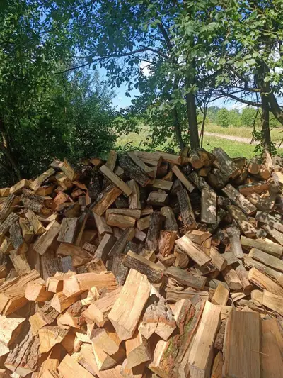Фото компанії Продаж дров різних порід