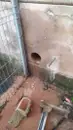 Фото компанії Три Діаманти