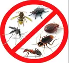 Фото компанії Pest Control West