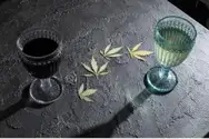 Фото компанії HEMP HEAVEN "Львівські коноплі"