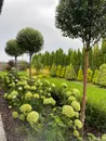 Фото компанії GreenLady