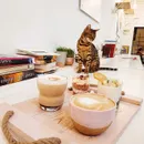 Фото компанії Cats and Coffee