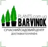 Логотип компанії Садовий центр "Barvinok Plants"