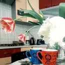 Фото компанії New York Hostel