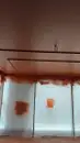 Фото компанії Безповітряне фарбування