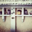 Фото компанії Кафе "Сита ложка"