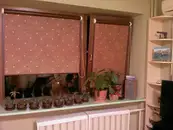 Фото компанії Вікна/Двері для оселі