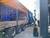 Фото компанії Ландшафтний центр "ЕКО ТИС"