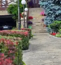 Фото компанії Mario Gardens