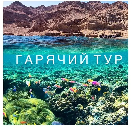 Фото компанії Туристичний візовий центр "VIZARDO"