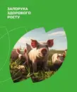 Фото компанії KormiKo