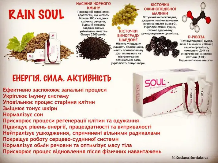 Фото компанії RAIN International