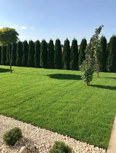 Фото компанії Професійний ландшафтний дизайн