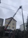 Фото компанії Обрізка дерев по Львівські