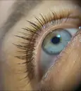 Фото компанії Салон ламінування вій та брів "K_beauty"