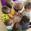 Фото компанії MRIYDIY