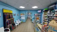 Фото компанії Ветеринарна клініка "DIVET"