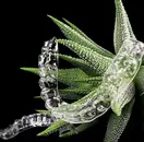Фото компанії Зуботехнічна лабораторія "3D Dental"