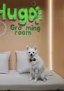 Фото компанії Грумінг салон "Hugo Grooming room"