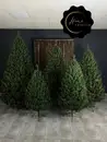 Фото компанії Home Prostor