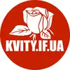 Логотип компанії KVITY.IF.UA
