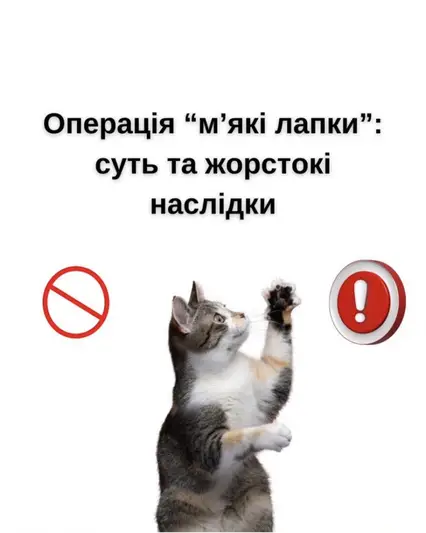 Фото компанії Ветеринарна клініка "SVIt тварин"
