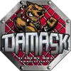 Фото компанії Academy MMA "Damask"
