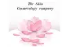 Логотип компанії The Skin company of cosmetology
