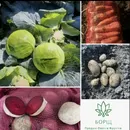 Фото компанії ТМ Борщ набір Західна Україна Овочі ГУРТ