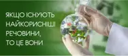 Фото компанії ФітапіСвіт