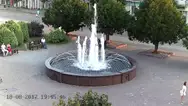 Фото компанії Delfin
