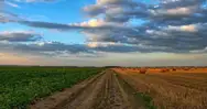 Фото компанії ФОП "Чорноморець Сергій Михайлович"
