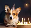 Фото компанії Woof-Woof Coffee