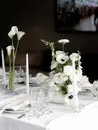 Фото компанії Pastel event decor