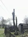 Фото компанії Благоустрій територій