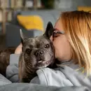 Фото компанії Ветеринарна клініка "Xvet"