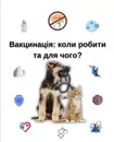 Фото компанії Ветеринарна клініка "SVIt тварин"