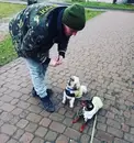 Фото компанії DogCare