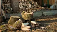 Фото компанії Спил дерев, порізка, порубка дров