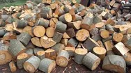 Фото компанії Дрова