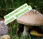 Фото компанії Духовно-оздоровчий центр "Істинна любов"
