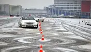 Фото компанії Вільний Вітер