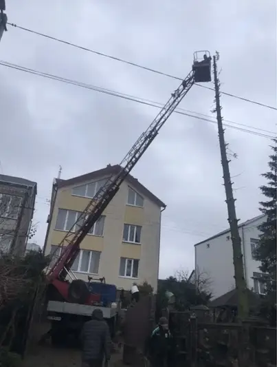 Фото компанії Обрізка дерев по Львівські