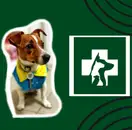 Фото компанії Ветеринарна клініка "ВЕТМЕДКОМПЛЕКС"