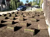Фото компанії Proстір Зелених Мрій