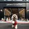 Фото компанії Paws&coffee