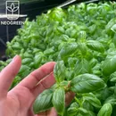 Фото компанії Neogreen