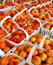 Фото компанії Служба доставки продуктів "Мамина Ферма"