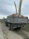 Фото компанії Дрова колоті та сипучі матеріали