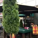 Фото компанії Паб "Легенда"
